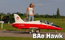 hawk