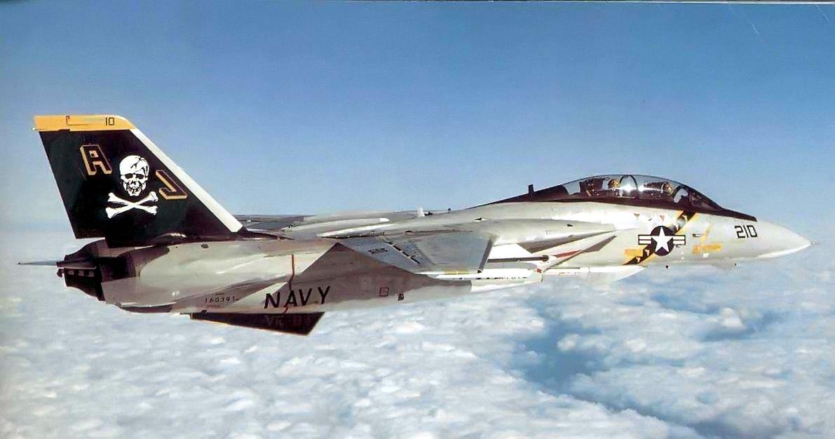 スカイマスターSkymaster F14塗装パターン#141E