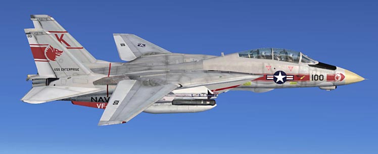 スカイマスターSkymaster F14塗装パターン#145