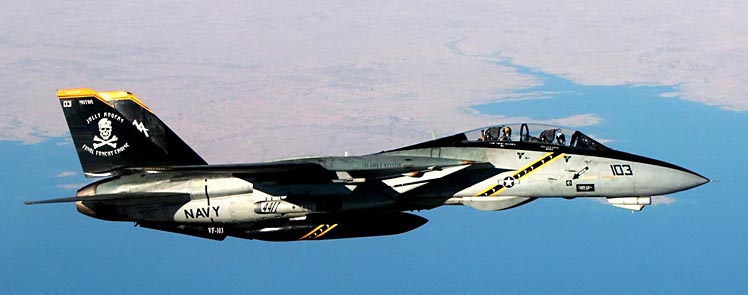 スカイマスターSkymaster F14塗装パターン#146