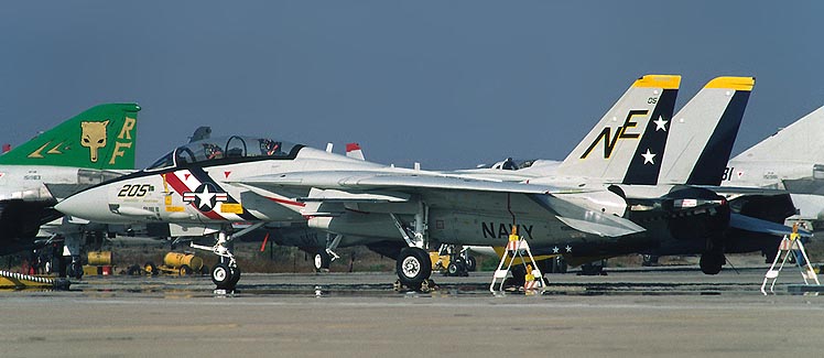 スカイマスターSkymaster F14塗装パターン#148