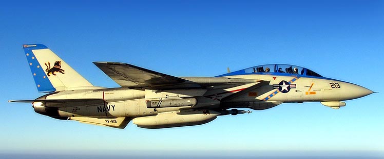 スカイマスターSkymaster F14塗装パターン#149