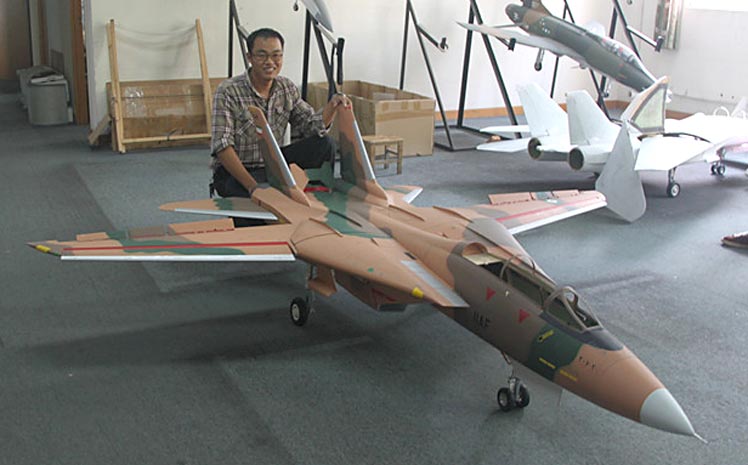 スカイマスターSkymaster F14塗装パターン#154