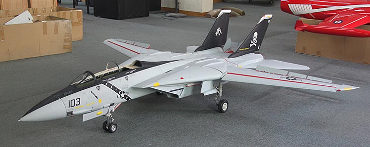 スカイマスターSkymaster F14塗装パターン#155