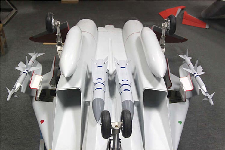スカイマスターSkymaster F14機体画像13