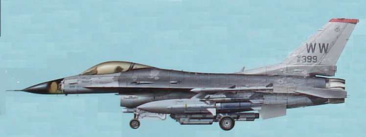 スカイマスターSkymaster F16 1/5L塗装03