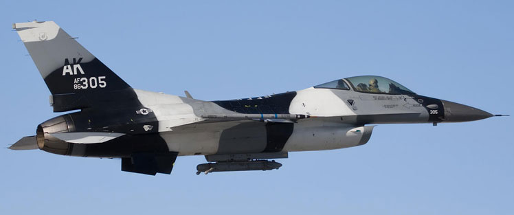 スカイマスターSkymaster F16 1/5L塗装15