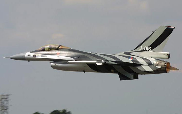 スカイマスターSkymaster F16 1/5L塗装16