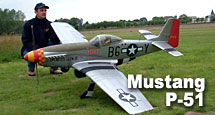 GA[[hAIRWOLD VvWR Mustang P-51