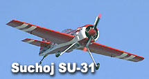 GA[[hAIRWOLD VvWR Suchoji Su-31