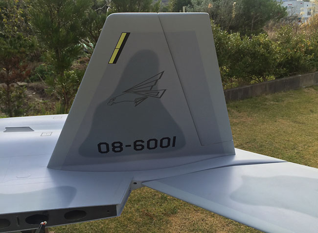 Xfly model F22 Raptor twin 40mm EDF Maiden! - YouTube